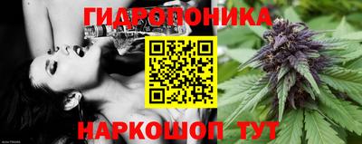 Альфа ПВП Заволжье