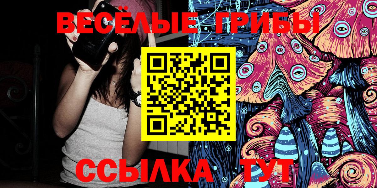 Псилоцибиновые грибы Psilocybe Сочи