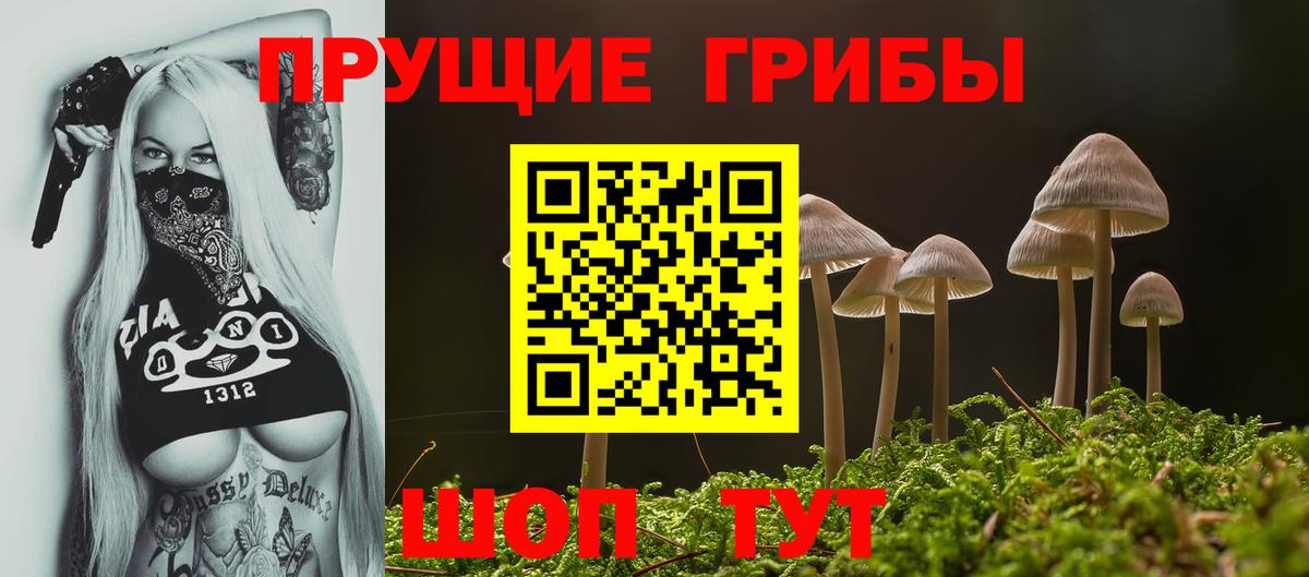Сочи  Псилоцибиновые грибы мицелий  Вход с VPN 